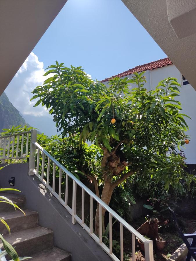 Casa Da Avo Rosa Apartment São Vicente Exterior photo