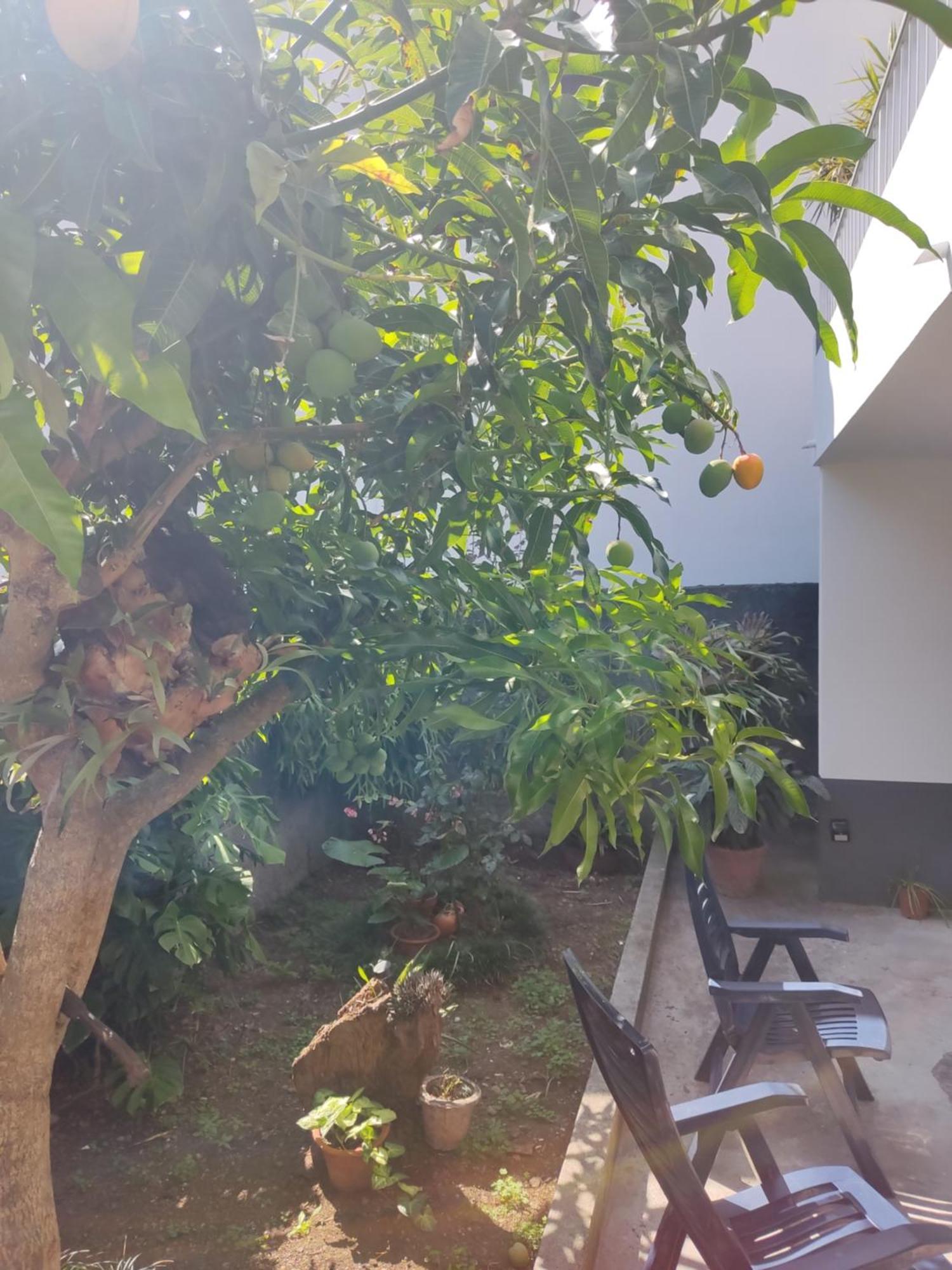 Casa Da Avo Rosa Apartment São Vicente Exterior photo